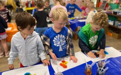 Brushstrokes of Brilliance: Dayboro Kindy Kids Dive Into the World of Art