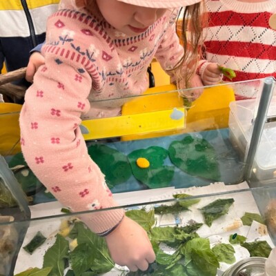 Dayboro Kindy Playtime 03