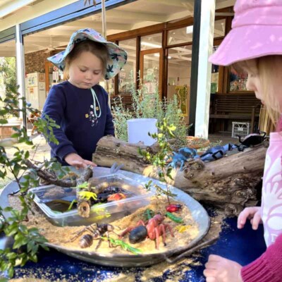 Nature Based Play Dayboro Kindy
