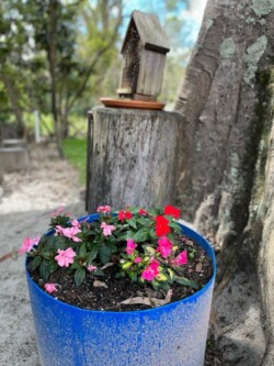 Dayboro Community Kindy Facilities 06