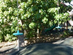 Dayboro Kindy Facilities 03