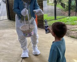 Magical moments with our Easter friend! Dayboro Kindy April News Grapevine