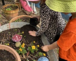 Hands in the soil, hearts in nature July 2025 Grapevine 4